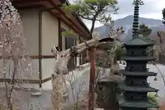 法長寺の建物その他