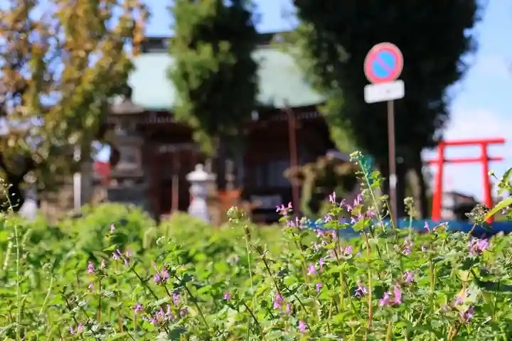 熊野福藏神社の景色