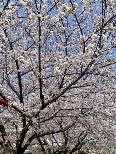 六孫王神社の自然