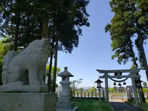 吉住熊野神社の狛犬
