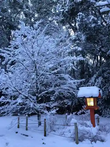 賀茂御祖神社（下鴨神社）の自然