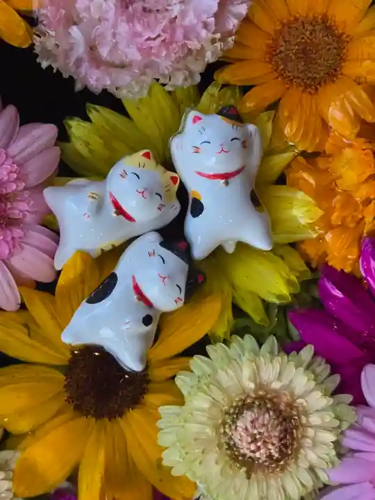 駒込妙義神社(東京都)