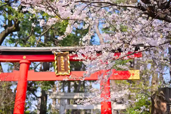 馬橋稲荷神社(東京都)