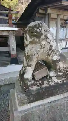 大島神社の狛犬