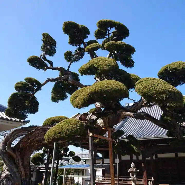 西法寺(大阪府)