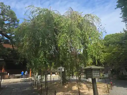 大報恩寺（千本釈迦堂）(京都府)