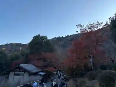 野宮神社(京都府)