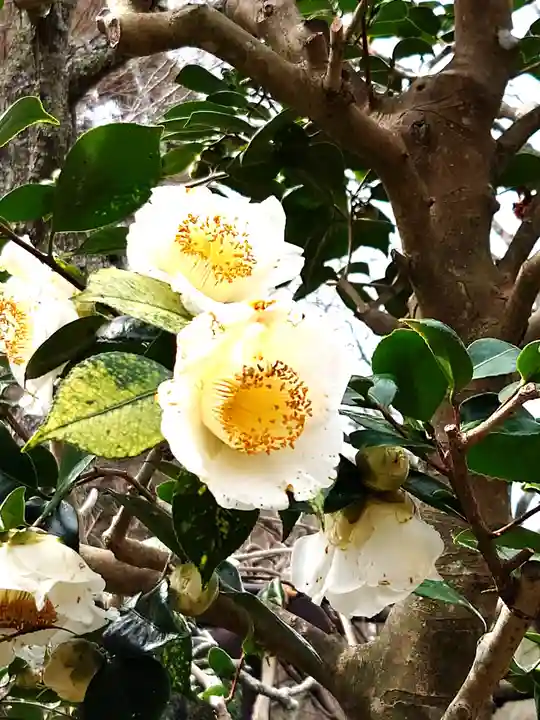 瑞泉寺(神奈川県)