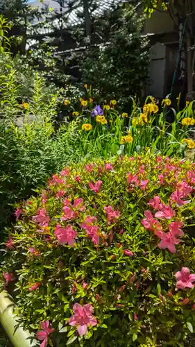 宝蔵寺(京都府)