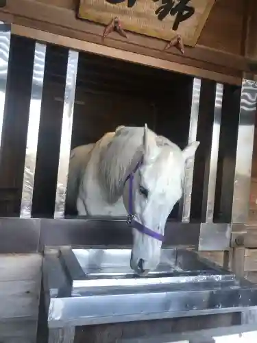 多度大社(三重県)