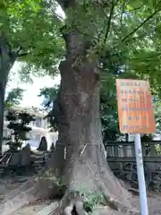 末広稲荷神社(埼玉県)