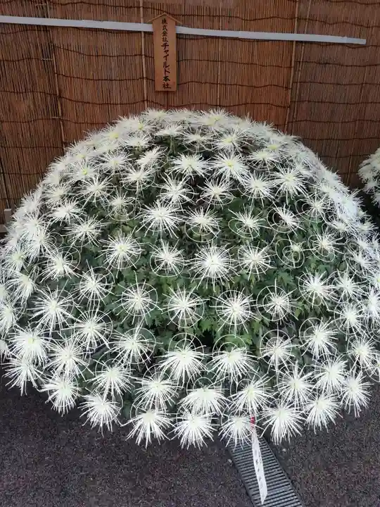 湯島天満宮の自然