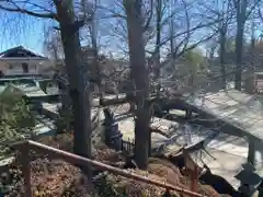 日枝神社水天宮(東京都)