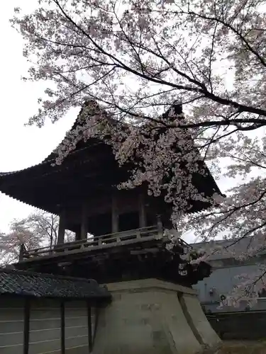 毫攝寺(福井県)