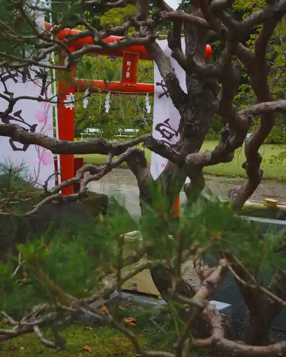 茨城縣護國神社(茨城県)