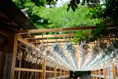 川越氷川神社(埼玉県)