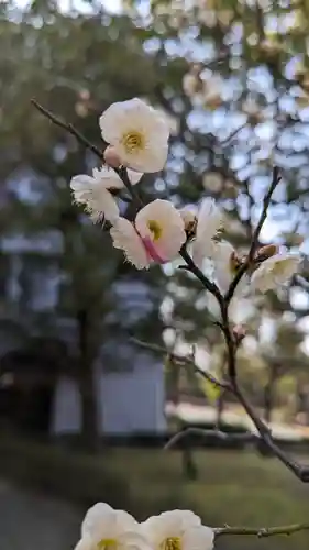 智積院(京都府)
