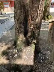 御霊神社(大阪府)