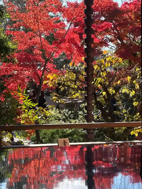 霊源院(京都府)