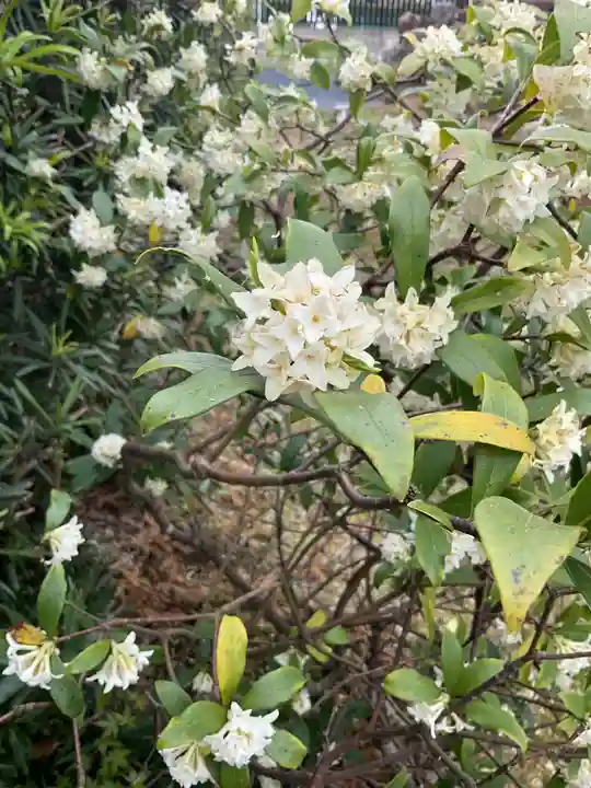 宗栄寺(愛知県)