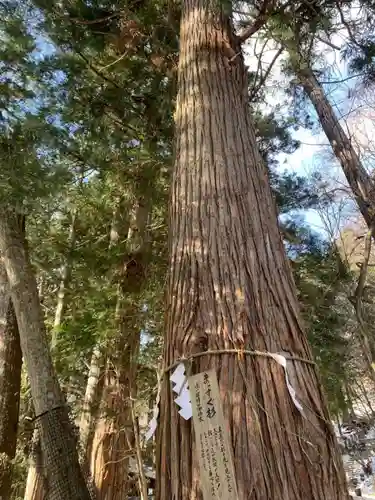 日光二荒山神社(栃木県)