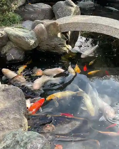 尾張猿田彦神社の庭園