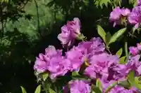 国宝 大法寺の自然