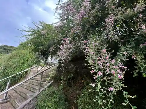 妙高院(神奈川県)