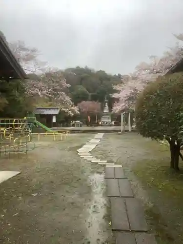 渭信寺の庭園