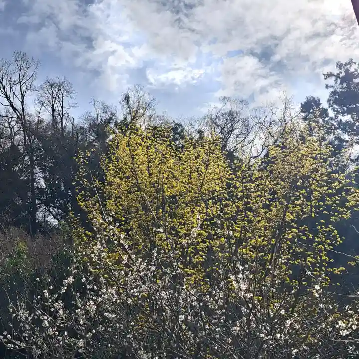 円覚寺の{uncategorized: "未分類", other: "その他", undefined: "問題あり", building: "その他建物", grave: "お墓", sacred_gate: "鳥居", guardian: "狛犬", statue: "像", buddha: "仏像", history: "歴史", nature: "自然", garden: "庭園", animal: "動物", pagoda: "塔", temizu: "手水舎", mountain_gate: "山門・神門", sanctuary: "本殿・本堂", subordinate: "末社・摂社", art: "芸術", scenery: "景色", jizo: "地蔵", ema: "絵馬", goshuin: "御朱印", omikuji: "おみくじ", items: "授与品その他", amulet: "お守り", goshuincho: "御朱印帳", eats: "食事", festival: "お祭り", votive_dance: "神楽", shichigosan: "七五三参", wedding: "結婚式", experience: "体験その他", initially: "初詣", around: "周辺", anti_infection: "感染症対策"}