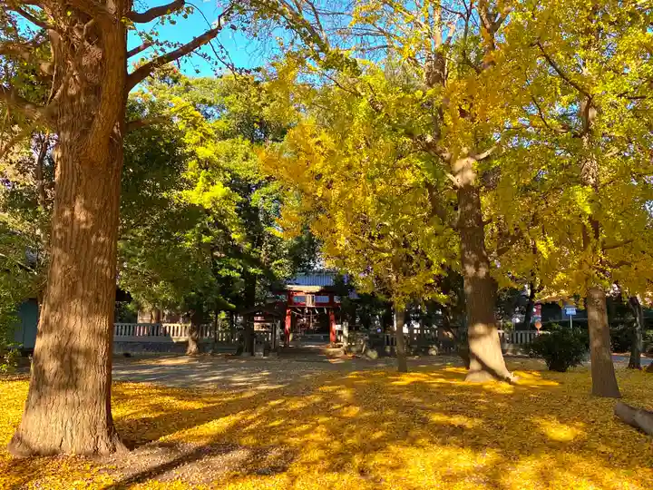 今城青坂稲実池上神社(埼玉県)