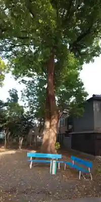 神足神社(京都府)