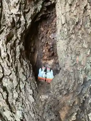 五社稲荷社の狛犬