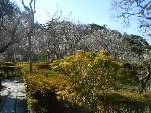 瑞泉寺の庭園