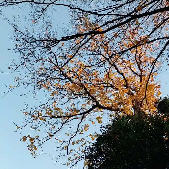 下石神井御嶽神社の自然