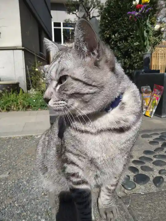 回向院(東京都)