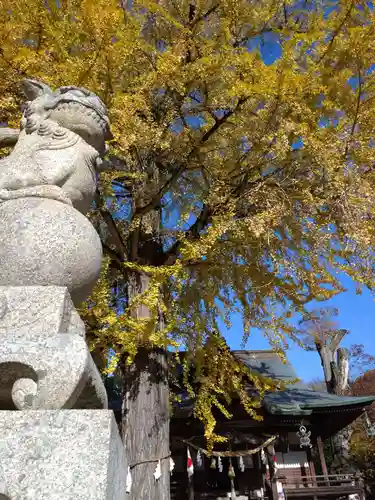 賀羅加波神社の狛犬