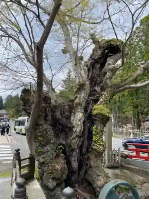 如意輪寺(和歌山県)