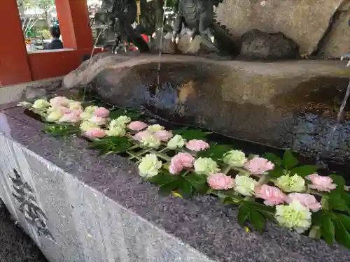 浅草神社の手水