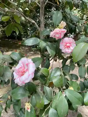 城南宮(京都府)