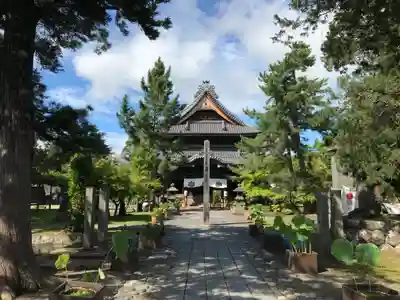 信濃國分寺の本殿・本堂