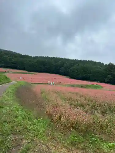 一宮神社(長野県)