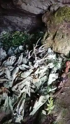 白鹿権現のその他建物