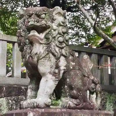 稲前神社の狛犬