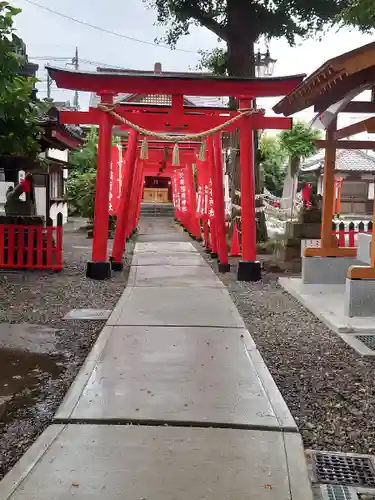 於菊稲荷神社の鳥居