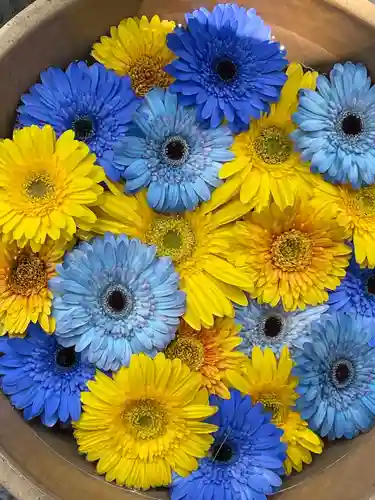 彌都加伎神社の手水舎