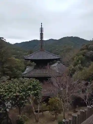 一乗寺の{uncategorized: "未分類", other: "その他", undefined: "問題あり", building: "その他建物", grave: "お墓", sacred_gate: "鳥居", guardian: "狛犬", statue: "像", buddha: "仏像", history: "歴史", nature: "自然", garden: "庭園", animal: "動物", pagoda: "塔", temizu: "手水舎", mountain_gate: "山門・神門", sanctuary: "本殿・本堂", subordinate: "末社・摂社", art: "芸術", scenery: "景色", jizo: "地蔵", ema: "絵馬", goshuin: "御朱印", omikuji: "おみくじ", items: "授与品その他", amulet: "お守り", goshuincho: "御朱印帳", eats: "食事", festival: "お祭り", votive_dance: "神楽", shichigosan: "七五三参", wedding: "結婚式", experience: "体験その他", initially: "初詣", around: "周辺", anti_infection: "感染症対策"}