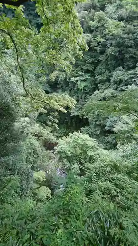 天岩戸神社の景色