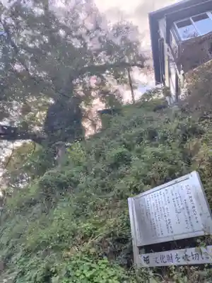武蔵御嶽神社(東京都)