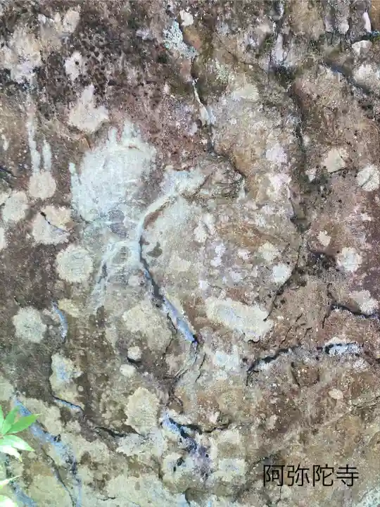 阿弥陀寺(長野県)